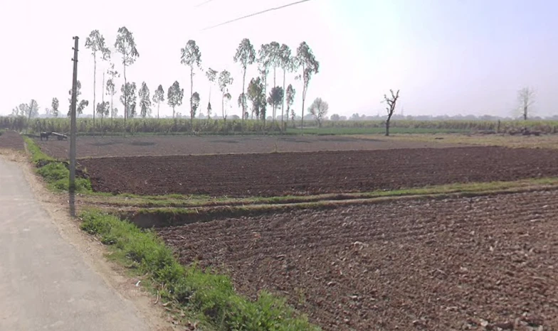 Mawana, Uttar Pradesh, India
