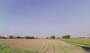 Kohand, Haryana 132114, India preview 2