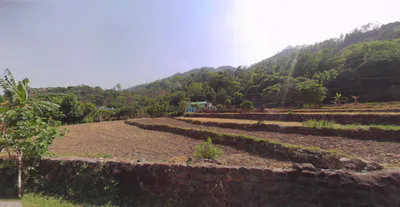 Jalna, Uttarakhand 263625, India preview 2