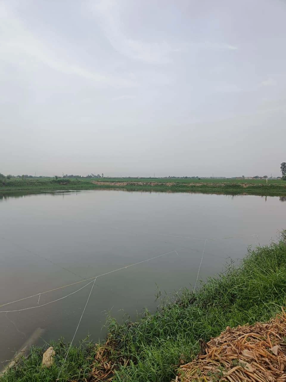 Javara, Mathura, Uttar Pradesh, India preview 2