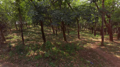 73F9+FX3, Edakkattuparamb, Kerala 673639, India preview 2