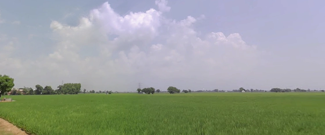 New Chandigarh, Punjab 140901, India