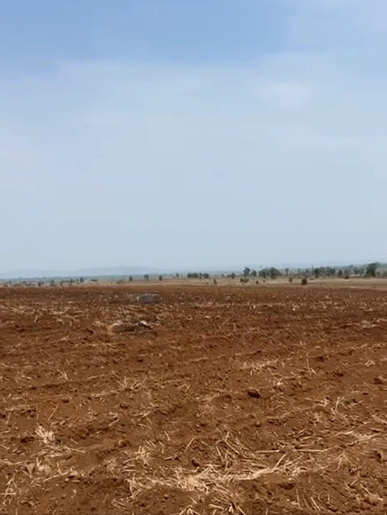 HFFC+64 Barehi, Rewa, Madhya Pradesh, India
