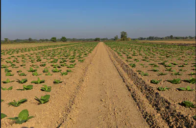 Hajipur, Rajasthan 301402, India preview 3
