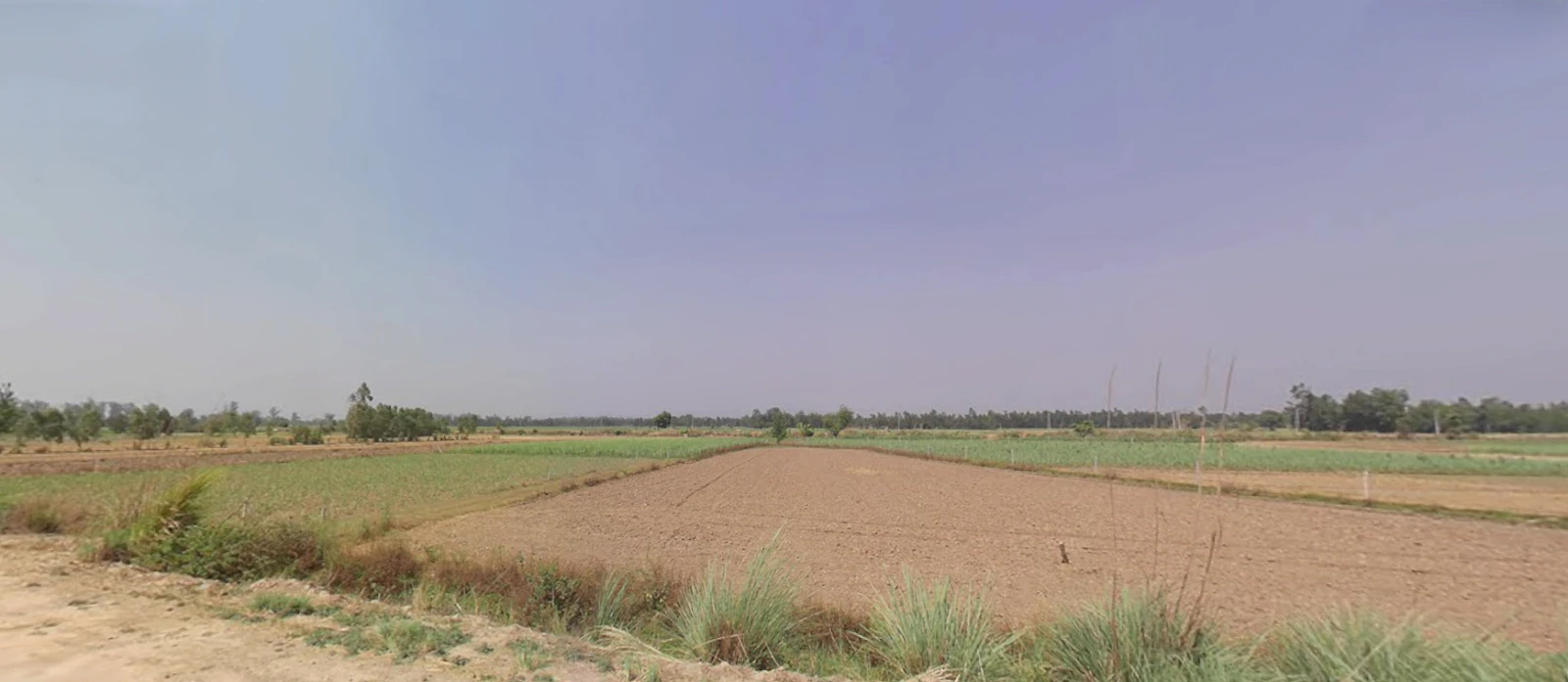 Maharshi Dayanand Gram Delhi-Haridwar, National Highway, near Bahadarbad, Uttarakhand 249405, India