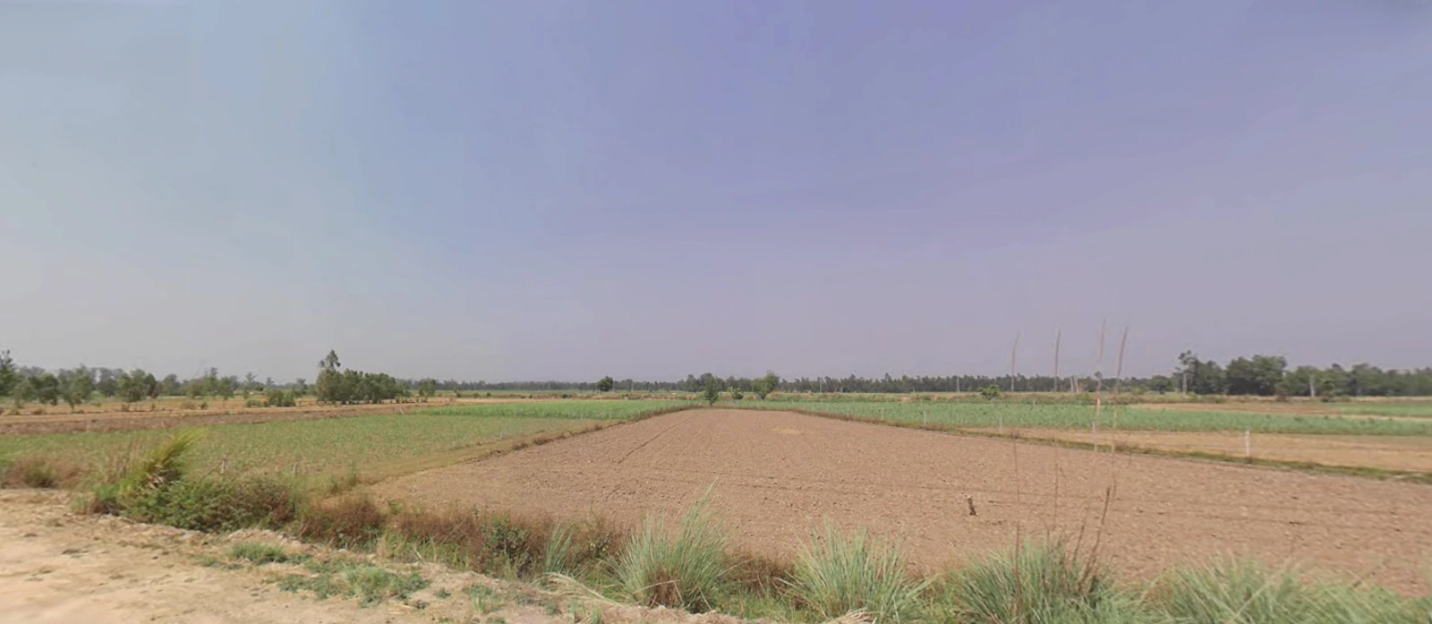 Maharshi Dayanand Gram Delhi-Haridwar, National Highway, near Bahadarbad, Uttarakhand 249405, India