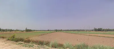 Maharshi Dayanand Gram Delhi-Haridwar, National Highway, near Bahadarbad, Uttarakhand 249405, India preview 3