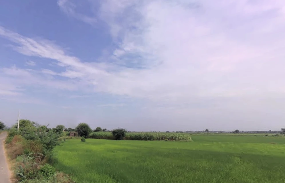 Raiseena, Haryana 122102, India