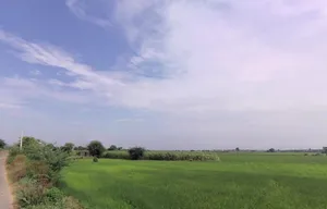 Raiseena, Haryana 122102, India preview 2