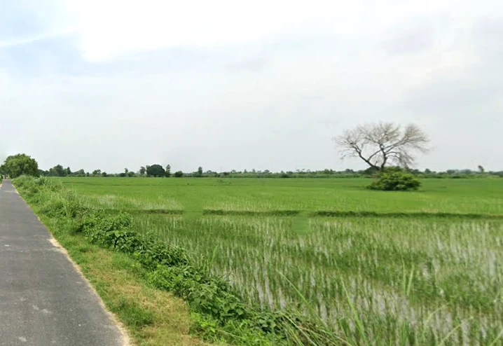 Dhanipur, Aligarh, Uttar Pradesh 202002, India