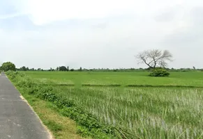 Dhanipur, Aligarh, Uttar Pradesh 202002, India preview 2