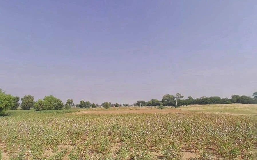 Siyasar Chaugan, Rajasthan, India
