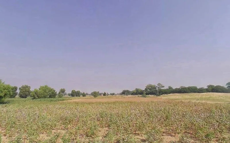 Siyasar Chaugan, Rajasthan, India preview 3