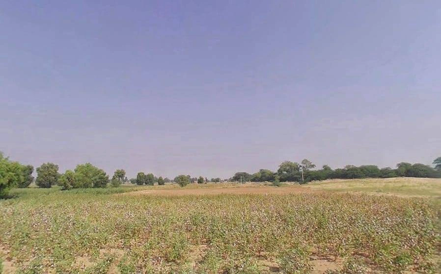 Siyasar Chaugan, Rajasthan, India