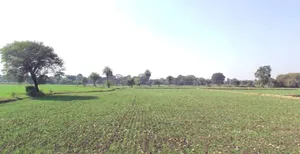 Daba, Madhya Pradesh, India preview 2