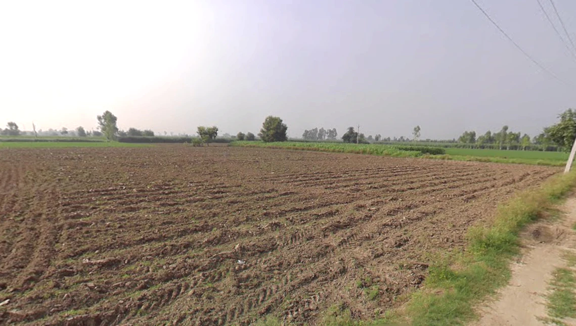 Roorkee, Uttarakhand, India