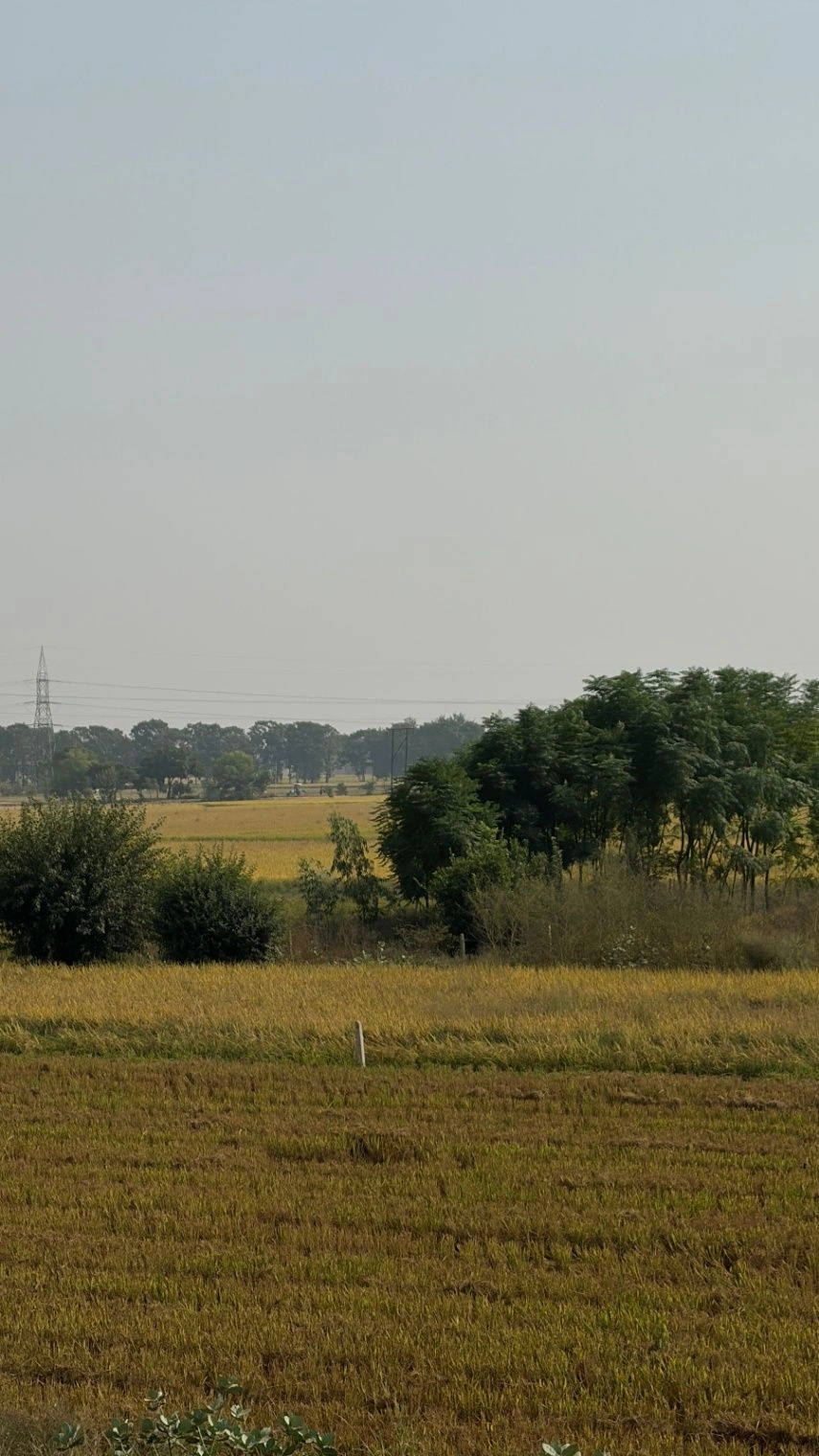 Girwai, Gwalior, Madhya Pradesh 474001, India