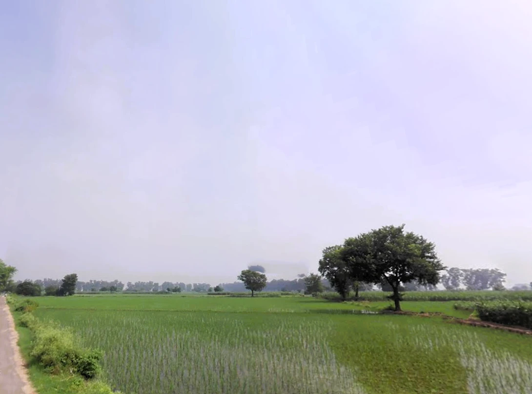 Bhali Anandpur, Haryana 124411, India