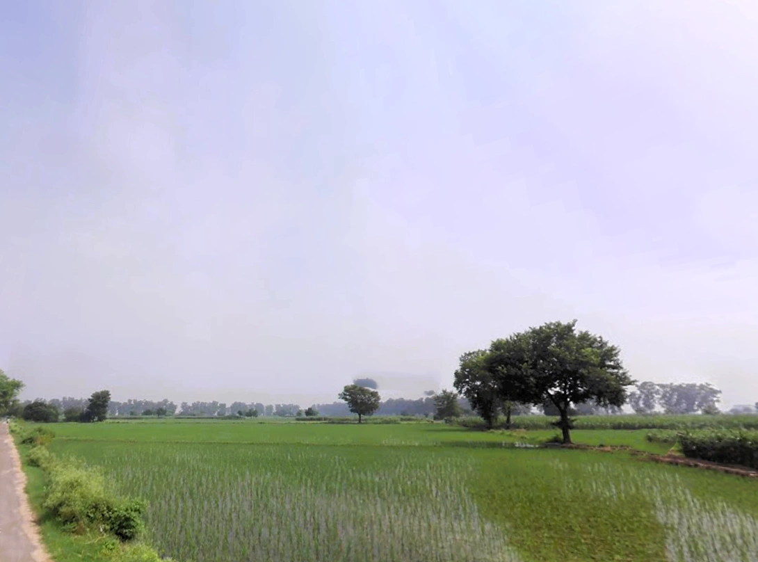 Bhali Anandpur, Haryana 124411, India