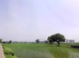 Bhali Anandpur, Haryana 124411, India preview 2