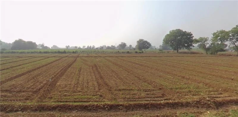 V6VV+PG, Sanadra, Gujarat 388250, India