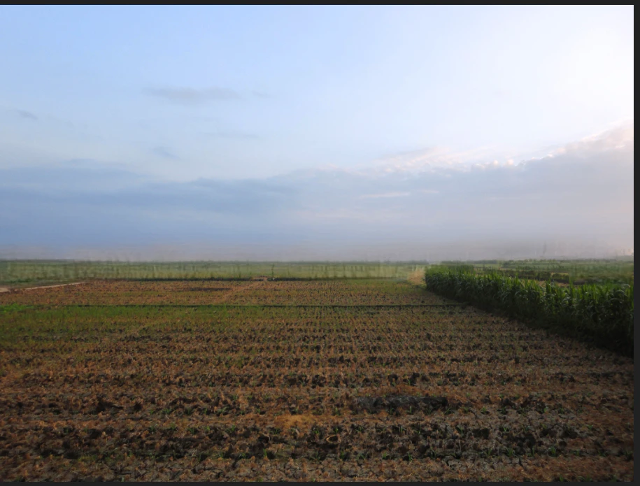 Udguwan, Uttar Pradesh 284126, India