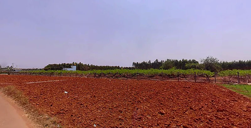 7HVQ+G9 Moparahalli, Karnataka, India preview 2