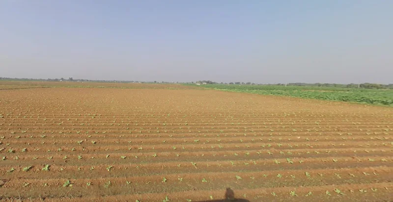 Sonardi, Gujarat 362205, India preview 3