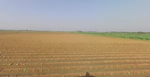 Sonardi, Gujarat 362205, India preview 3