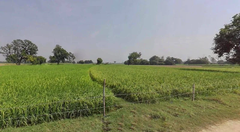 Jaisalmer, Rajasthan 345001, India preview 2