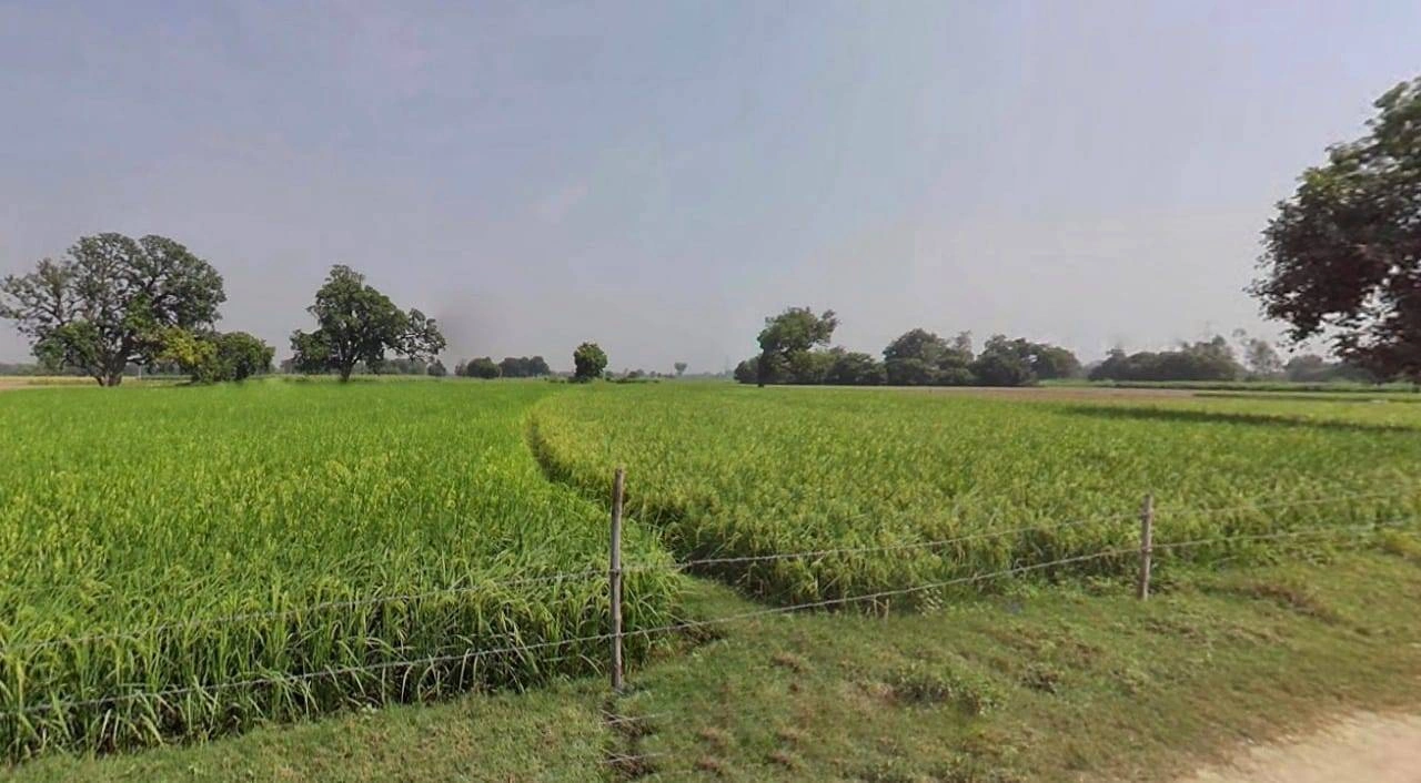 Jaisalmer, Rajasthan 345001, India