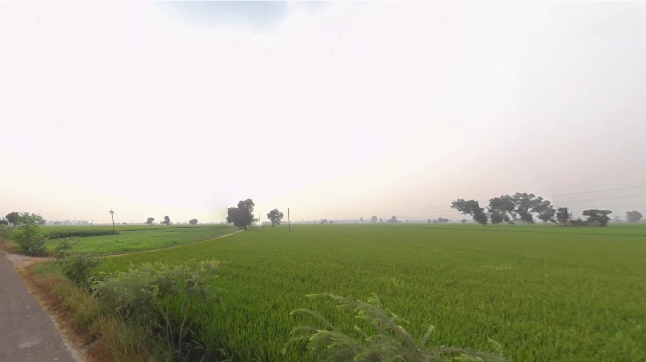 Bareta, Punjab 151501, India preview 2