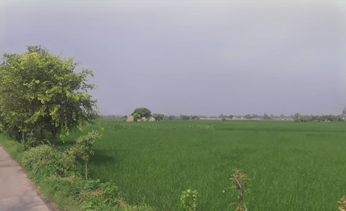Pehowa, Haryana 136128, India