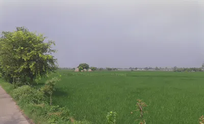 Pehowa, Haryana 136128, India preview 2