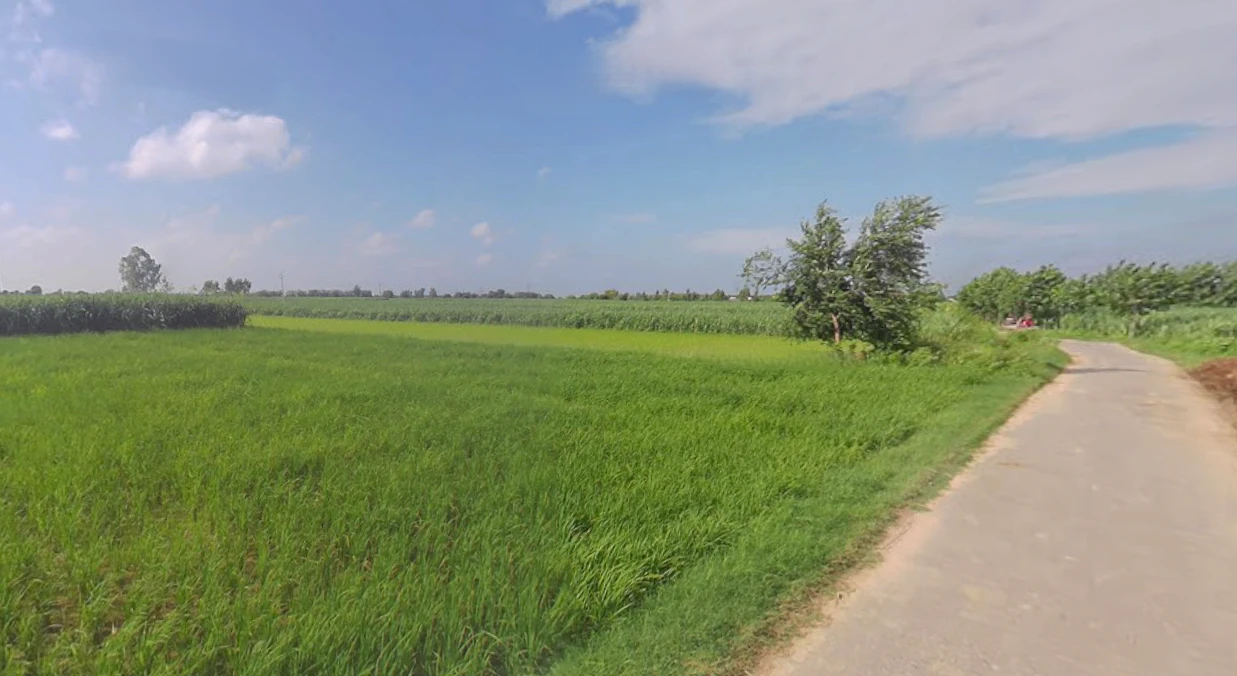 Behajam, Uttar Pradesh 261501, India