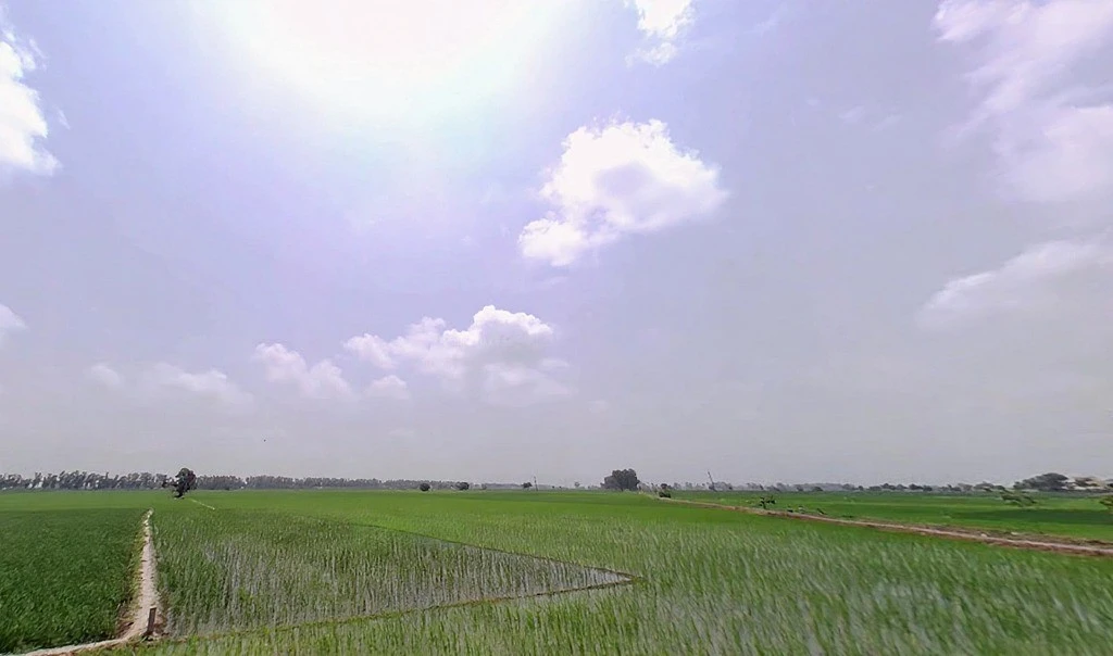 Pharal, Haryana 136021, India