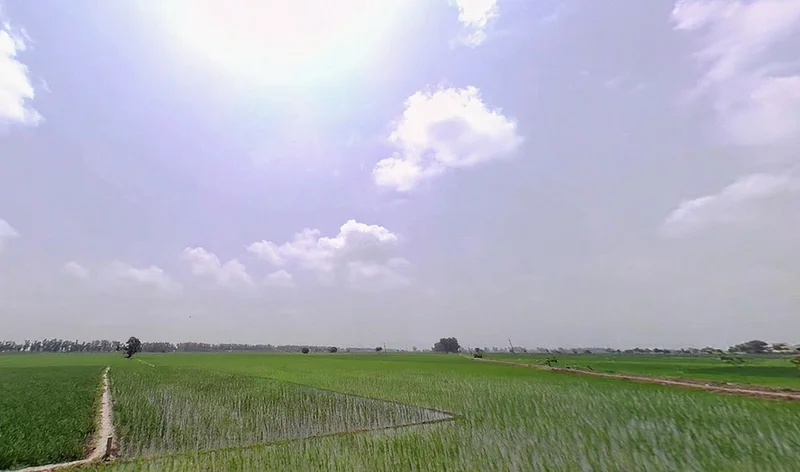 Pharal, Haryana 136021, India preview 2