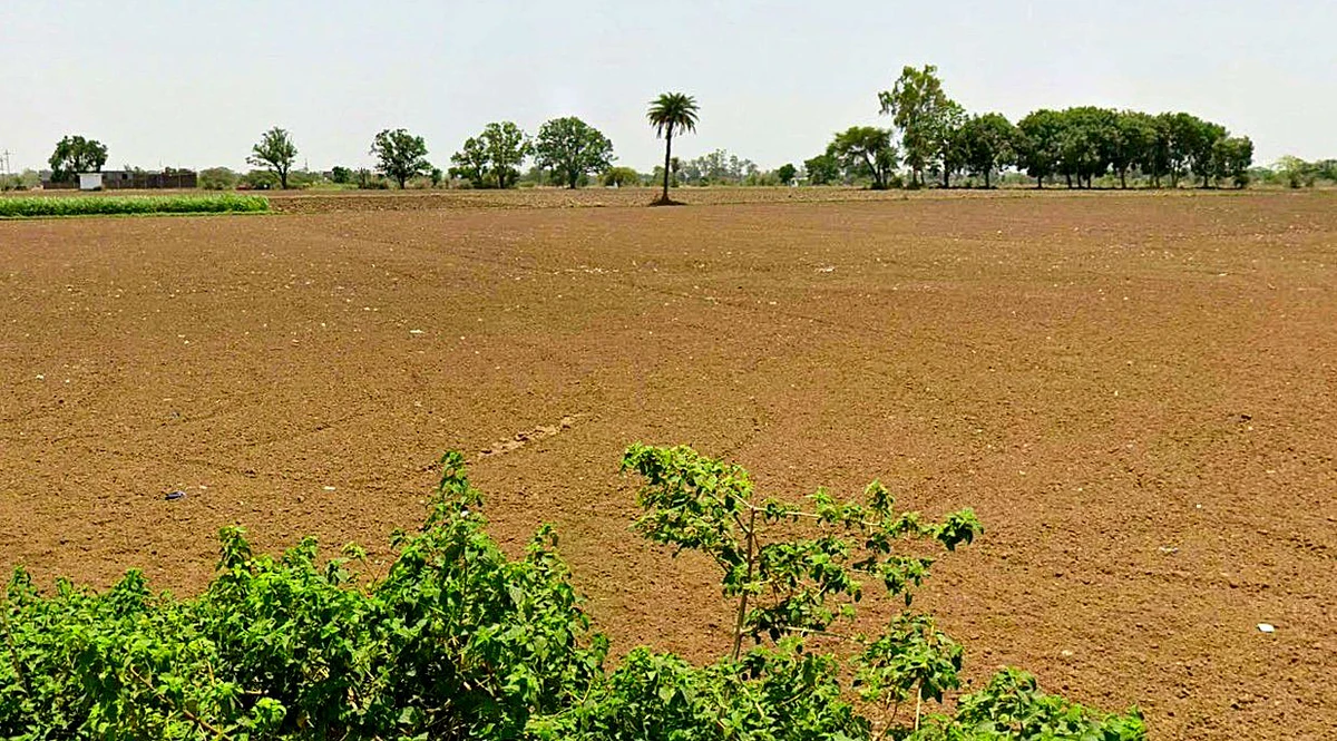 Sunera, Madhya Pradesh 465001, India