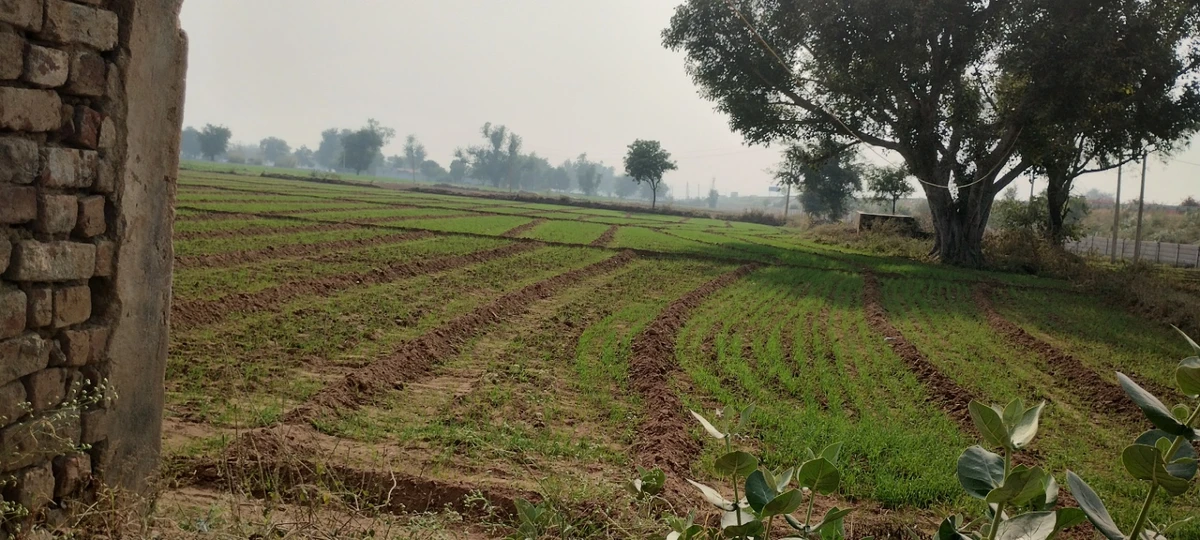 Seetal, Rajasthan 301021, India