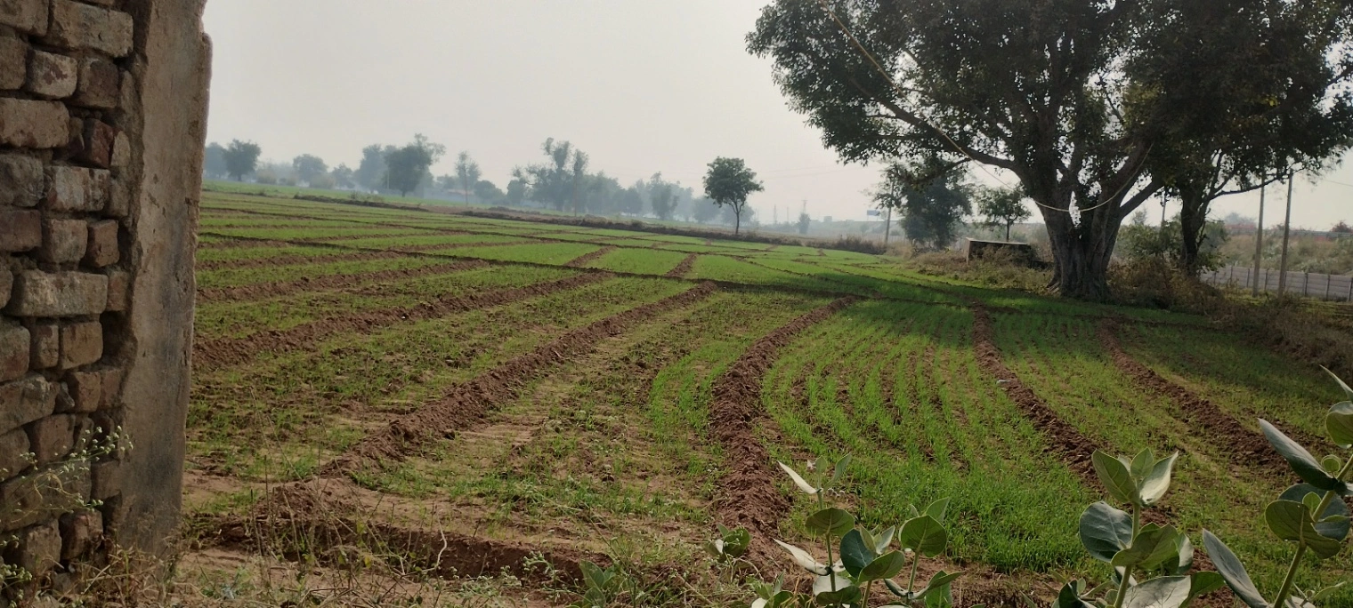 Seetal, Rajasthan 301021, India