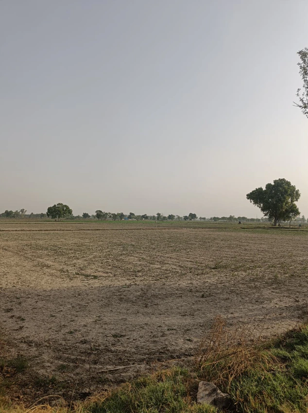 Maina, Rohtak, Haryana, India - Photo 2