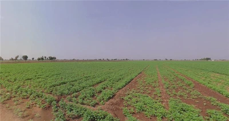 Kelshi, Maharashtra 415717, India preview 3