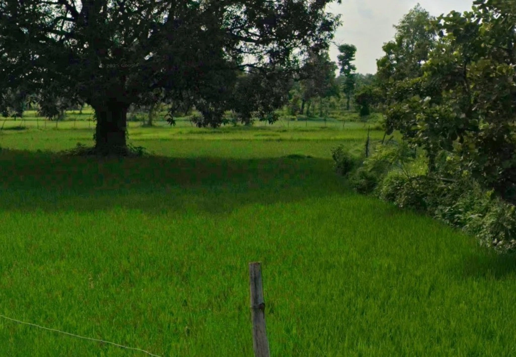 Giraud, Chhattisgarh 493221, India