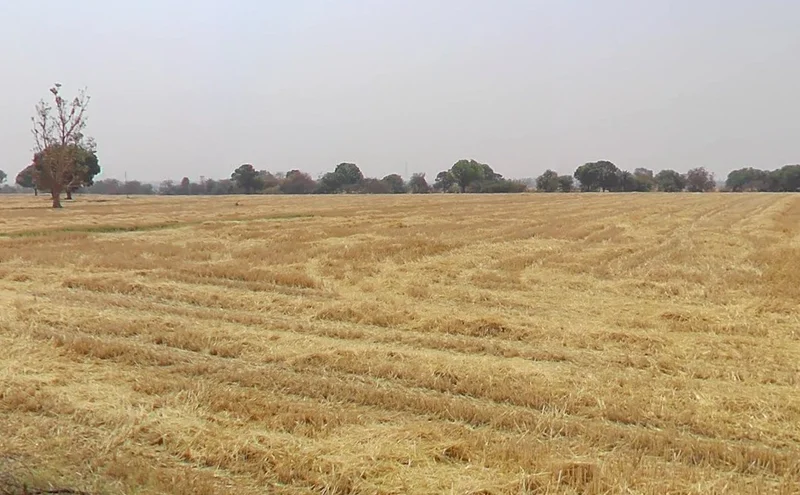 7RJM+5M4, Nagjhri, Madhya Pradesh 451220, India preview 3