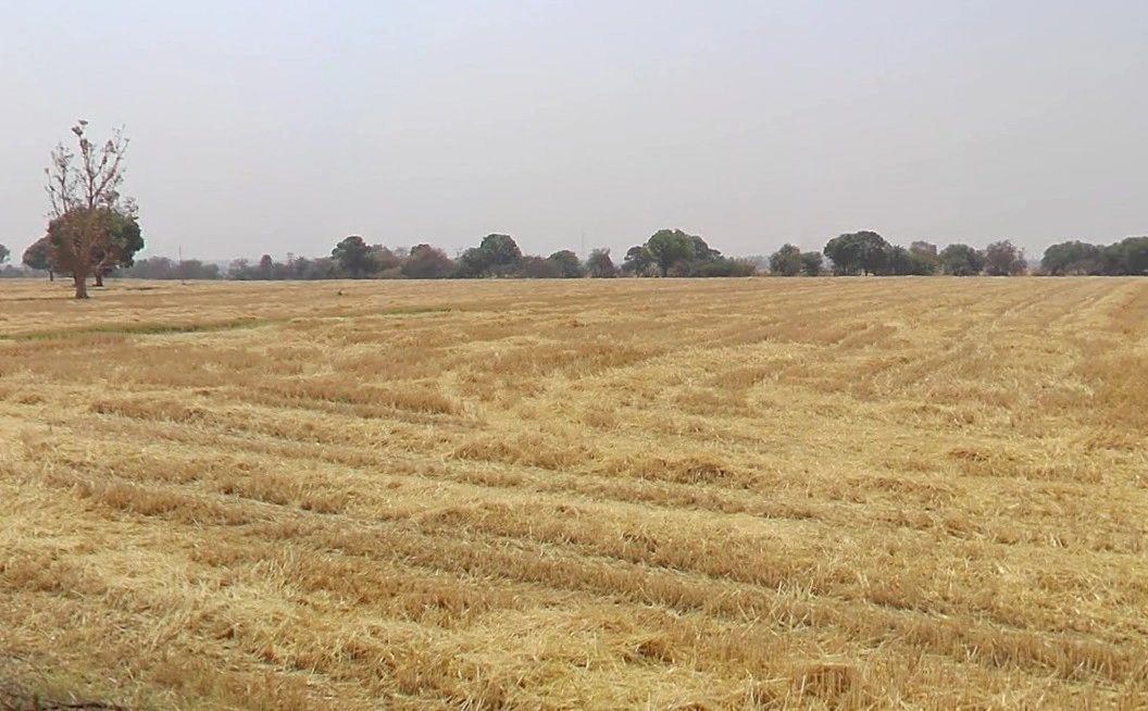 7RJM+5M4, Nagjhri, Madhya Pradesh 451220, India