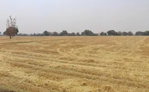 7RJM+5M4, Nagjhri, Madhya Pradesh 451220, India preview 3