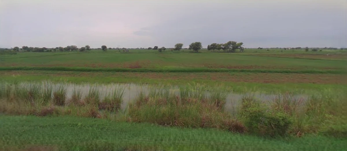 Agar Malwa, Madhya Pradesh, India
