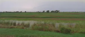 Agar Malwa, Madhya Pradesh, India preview 2