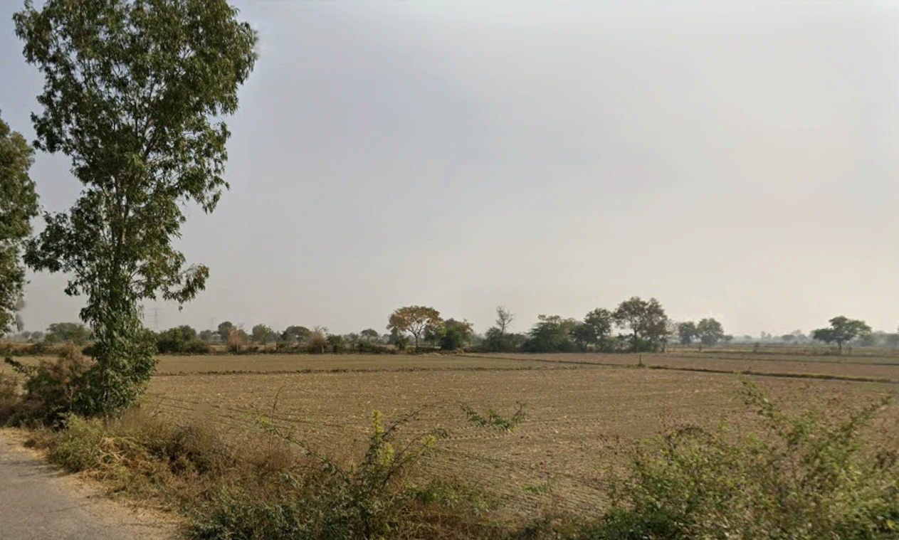 Tigrana, Haryana 127031, India