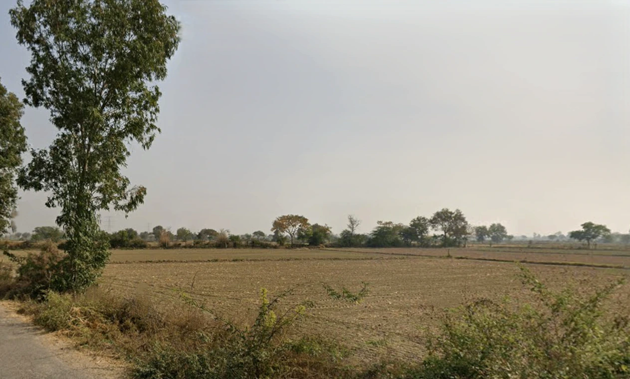 Tigrana, Haryana 127031, India